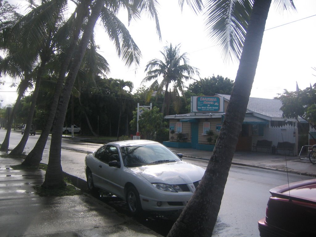Sea Shell Motel