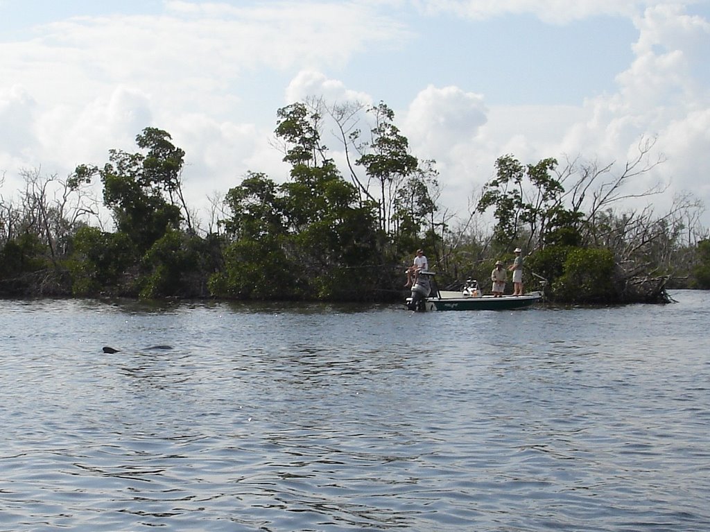A dolphin and fishmen
