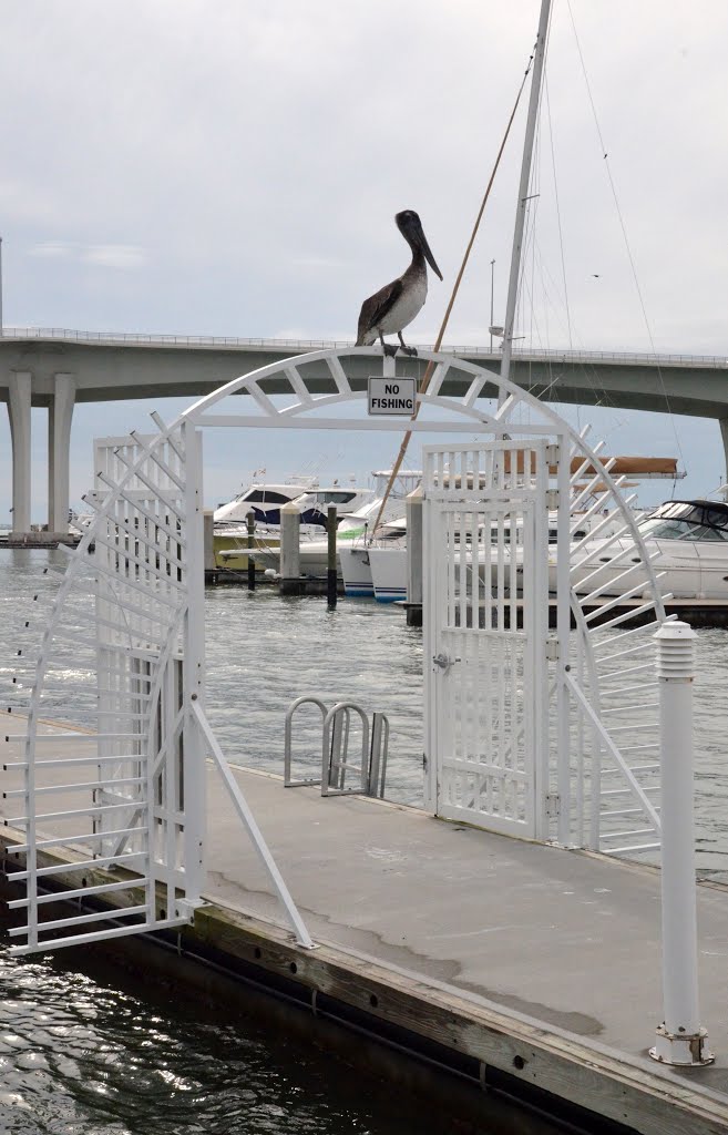 Clearwater,Florida,USA.