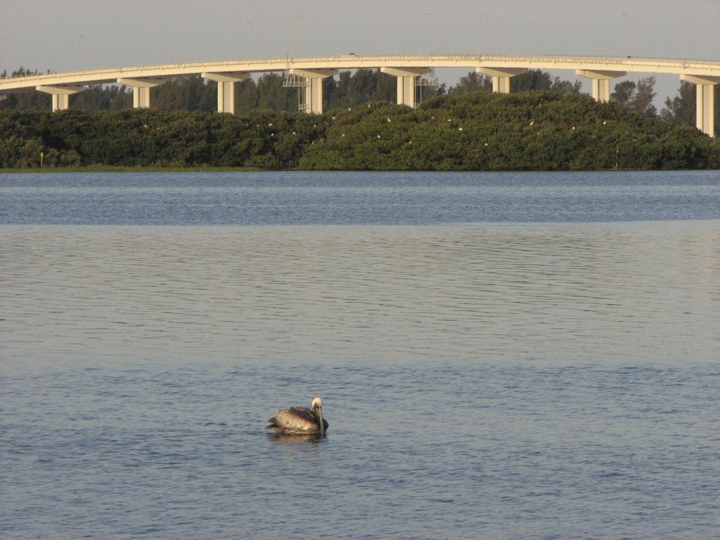 Clearwater Pass Bridge