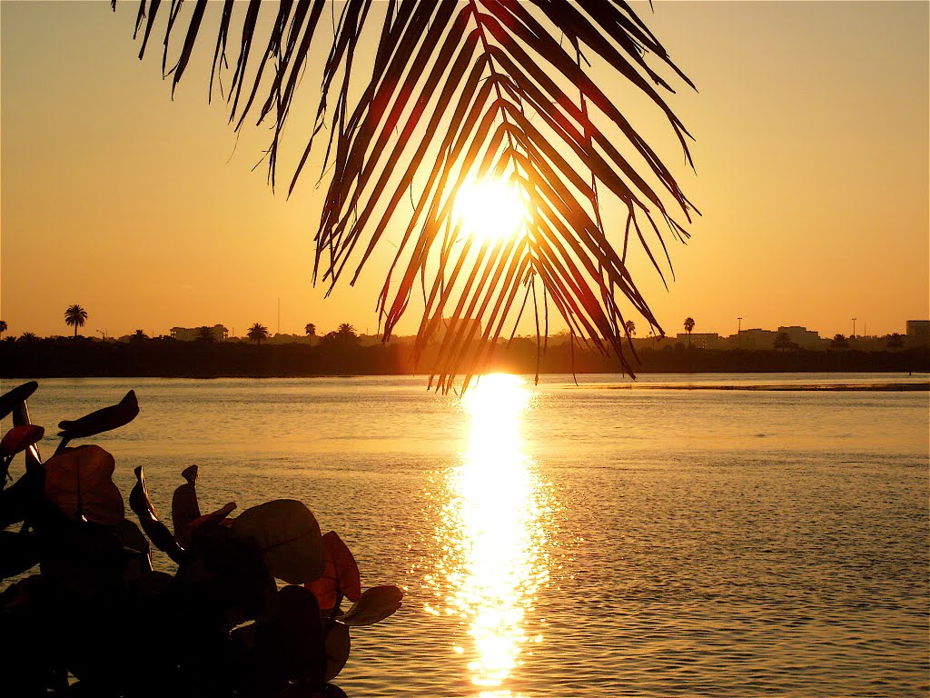 Morning Sun