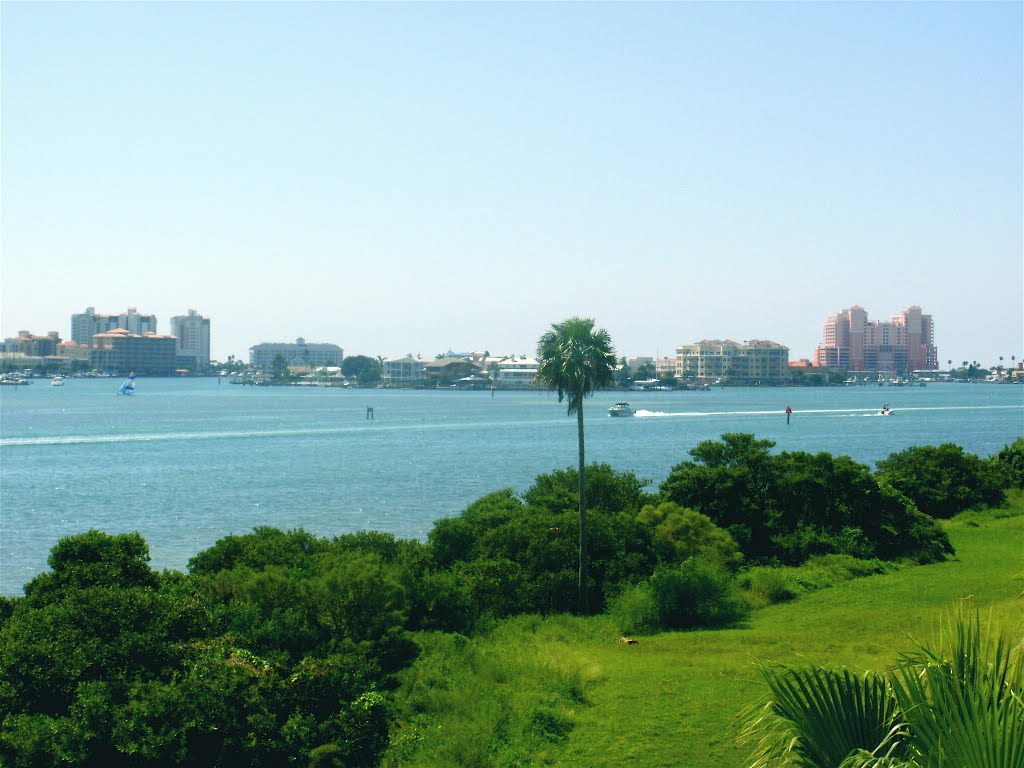 Clearwater Harbor