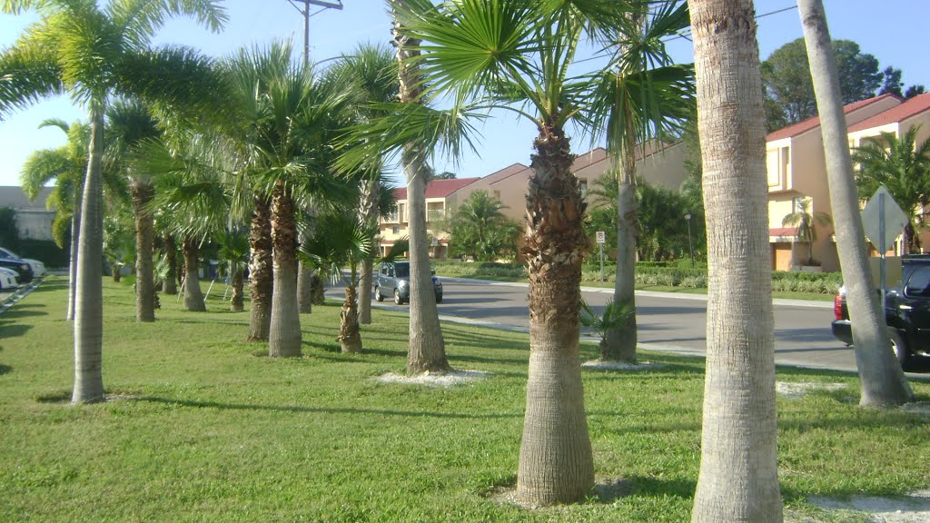 Windward Psge., Clearwater