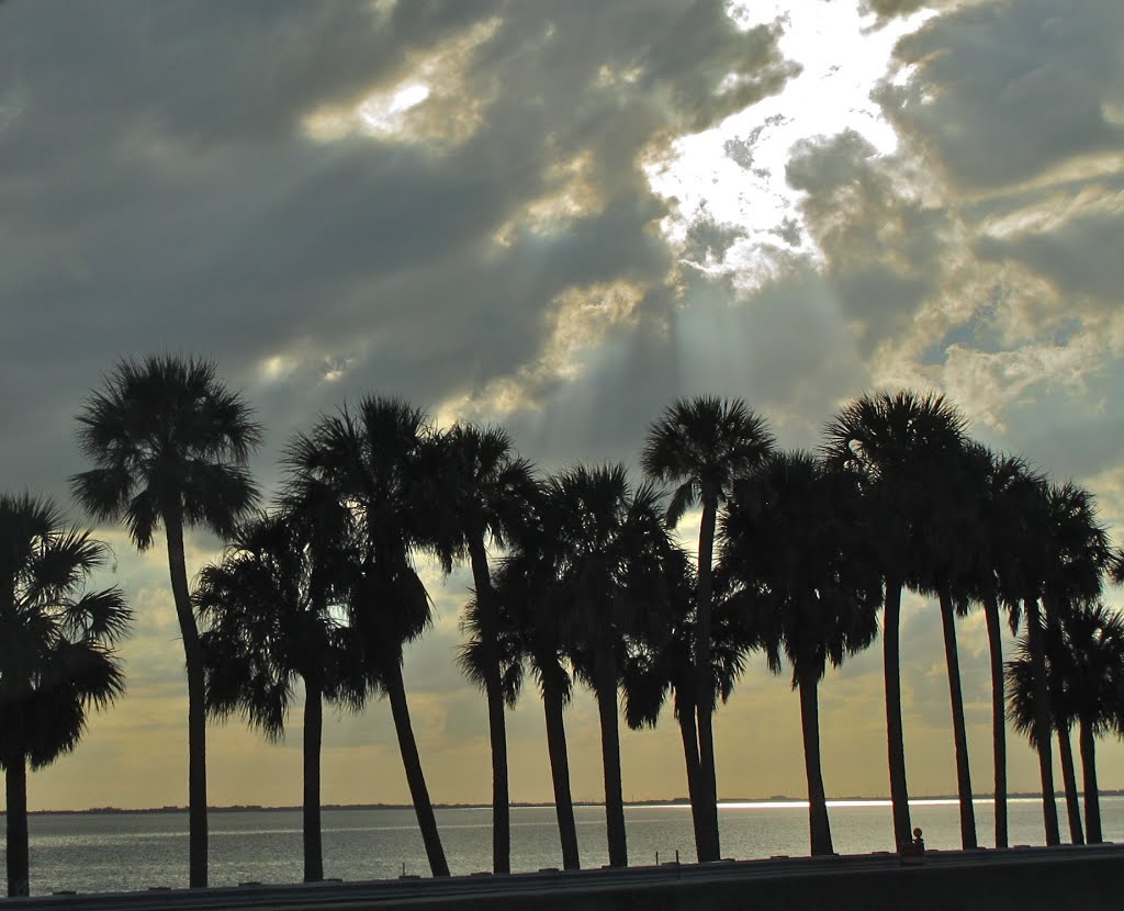 Clearwater,Florida.US.