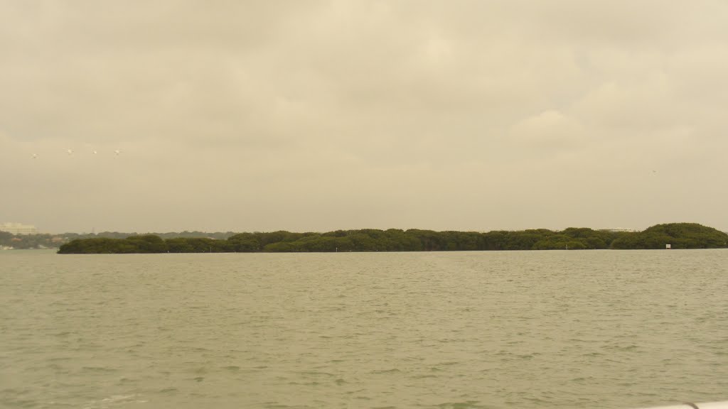 Island in Clearwater Harbor