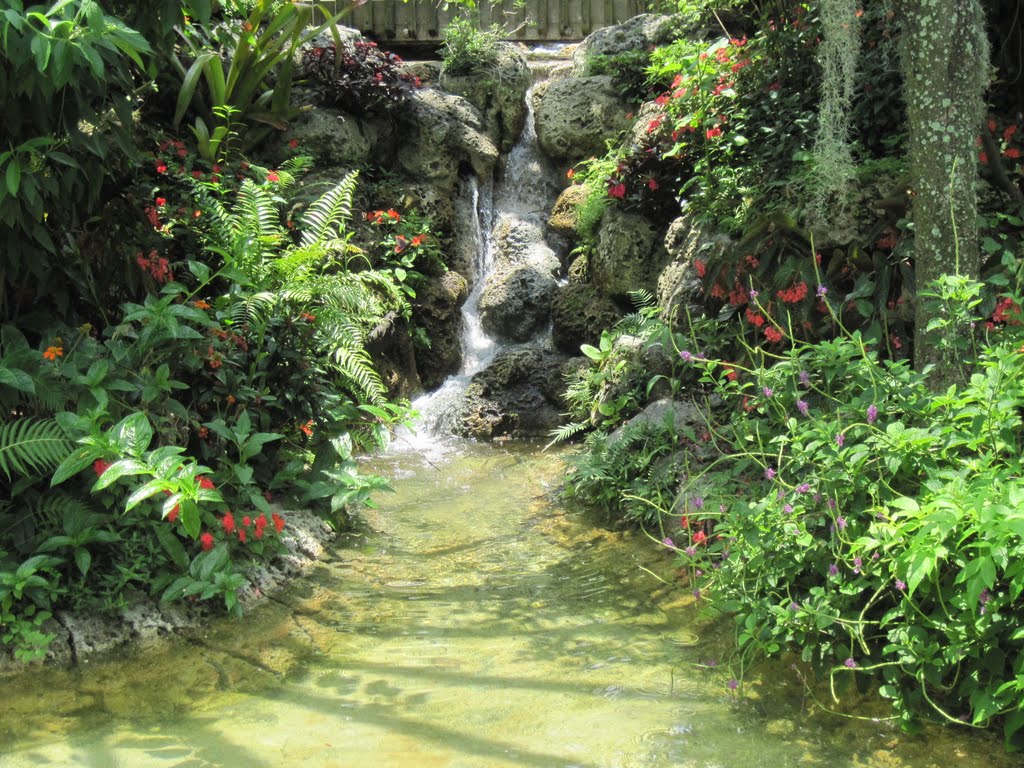 Tropical plants and a waterfall, JUNE CONTEST