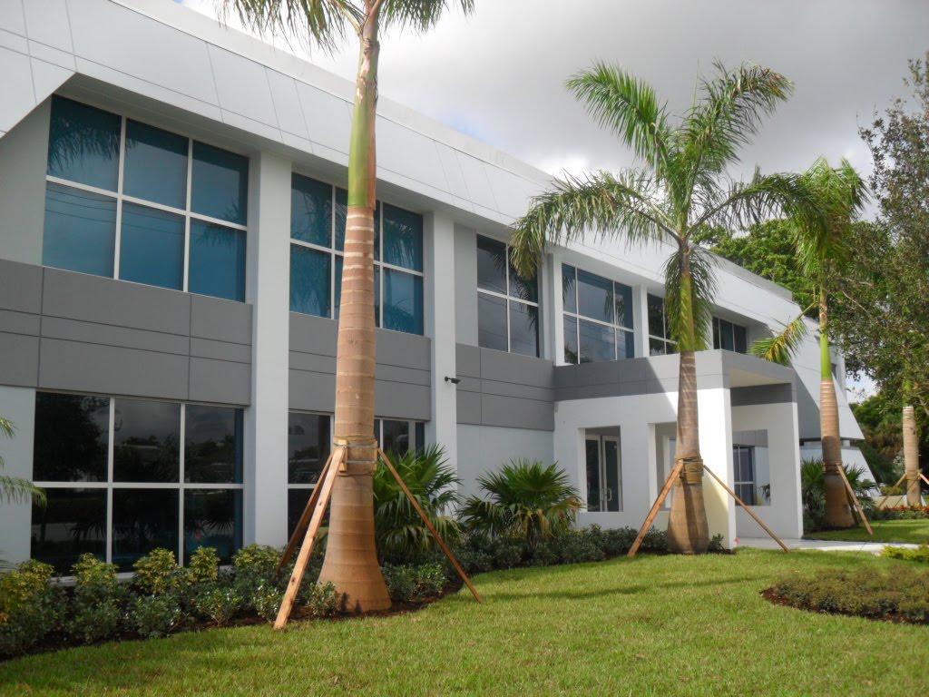 Technological University of America