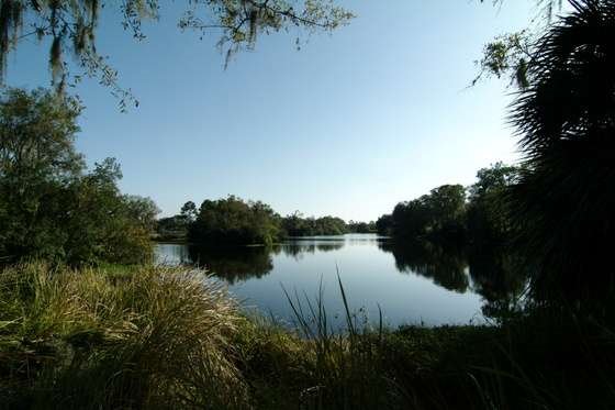 View of long lake (to south)