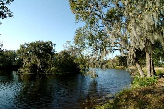 View of long lake (to NW)
