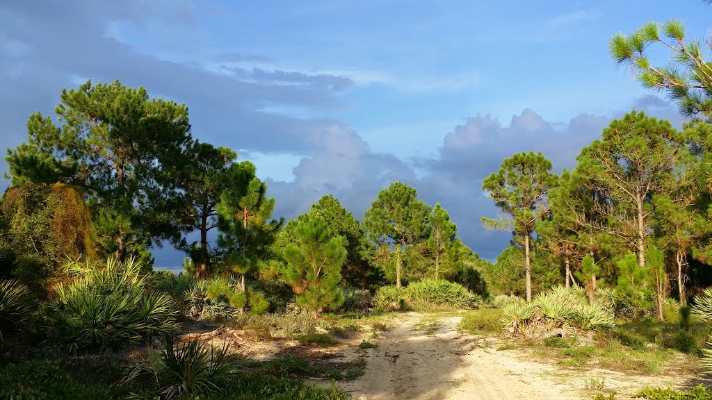 Hypoluxo Nature Area