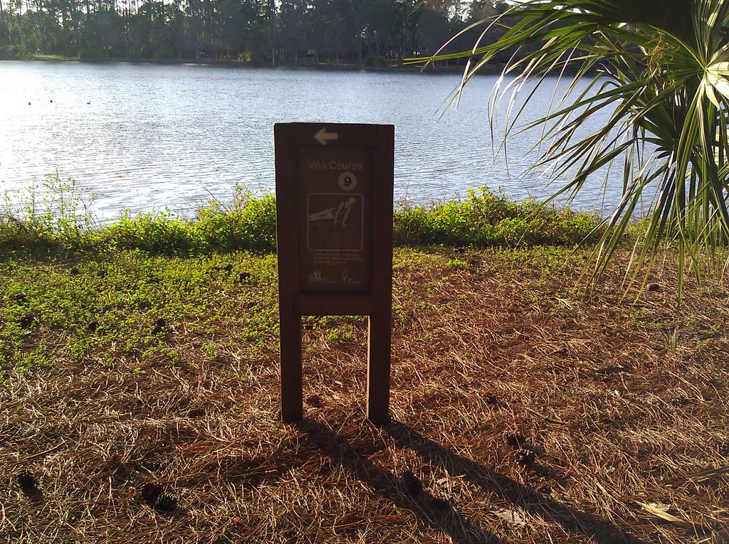 Taylor park Vita course #9