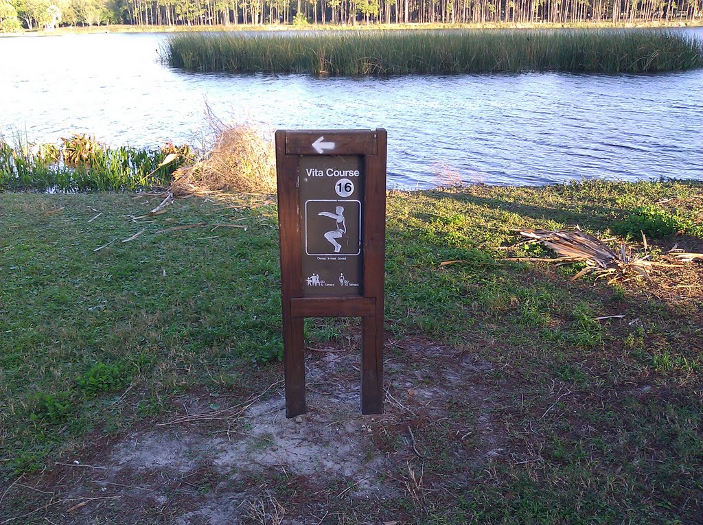 Taylor park Vita course #16