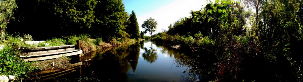 Largo Central Park Nature Preserve , Largo Fl , 33770 , Largophoto