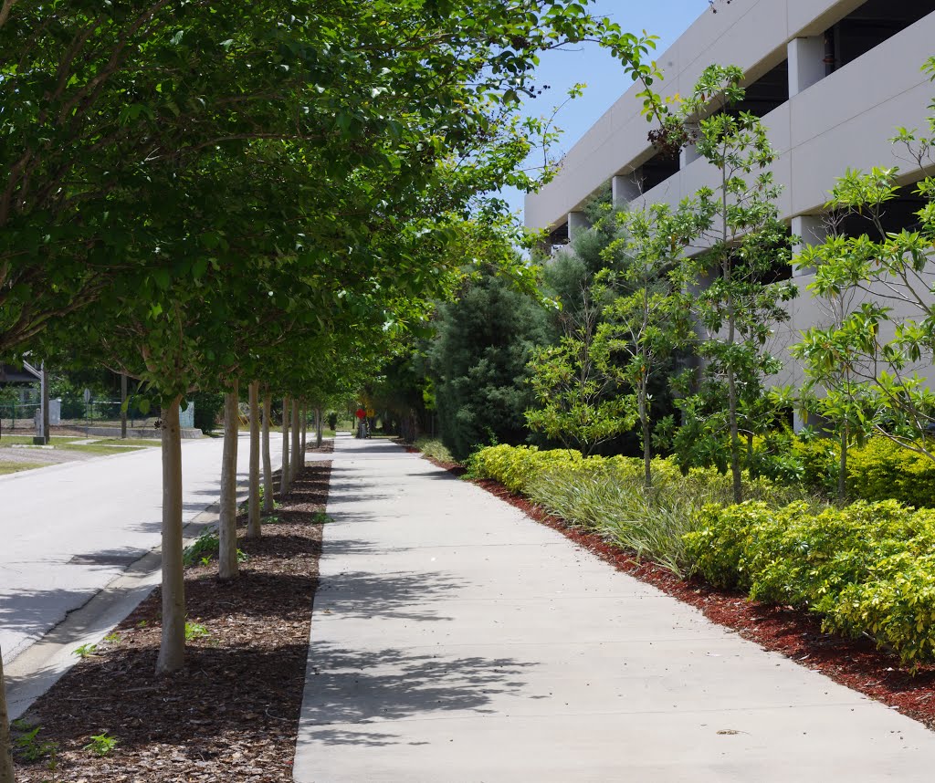 2013 04-30 Largo, Florida - 13th St