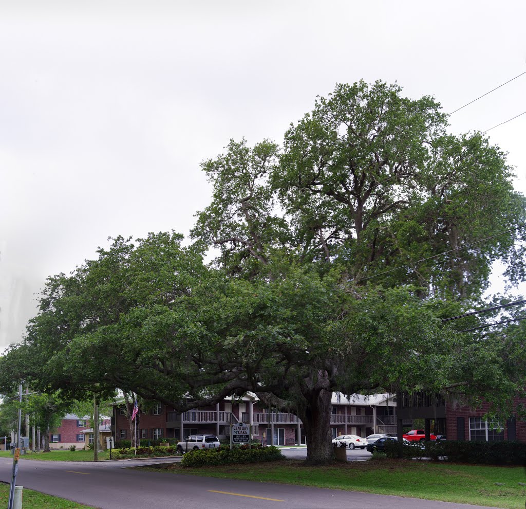 2013 05-02 Largo, Florida - 14th St