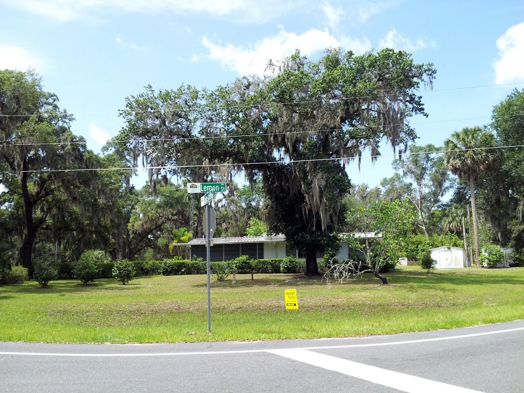 Intersection of Lemon Street and Lake Griffin Road, Lady Lake, FL