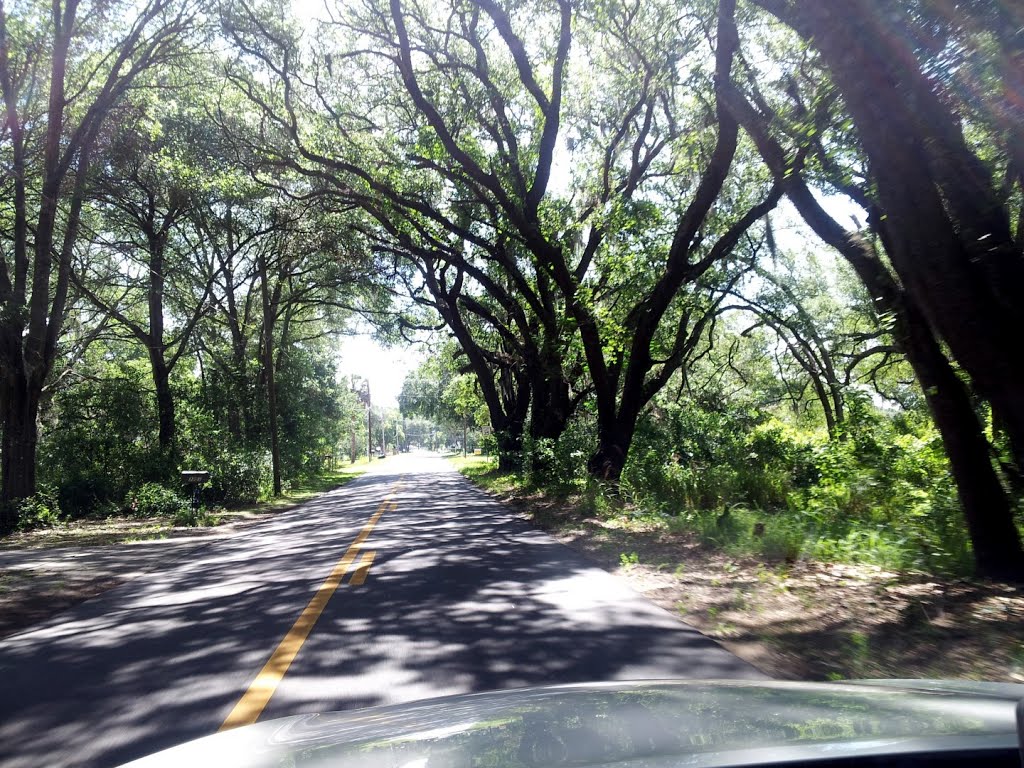 Lake Griffin Road