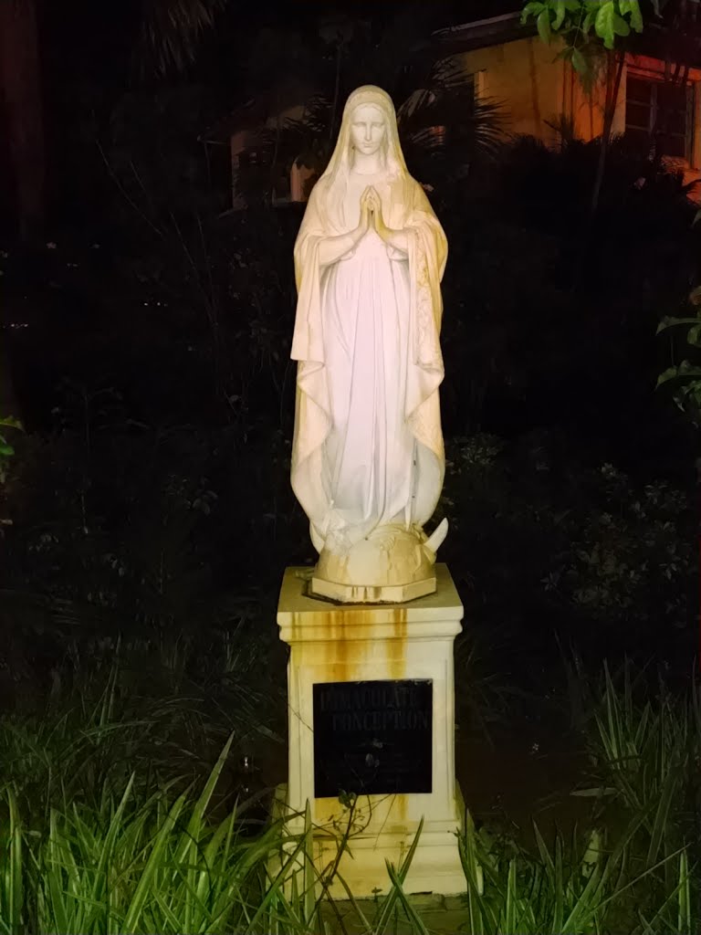 "Immaculate Conception"