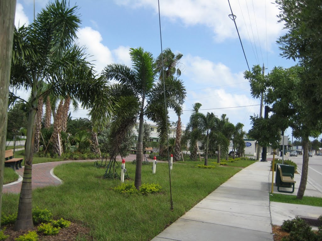 Jaycee Park / Wilton Drive