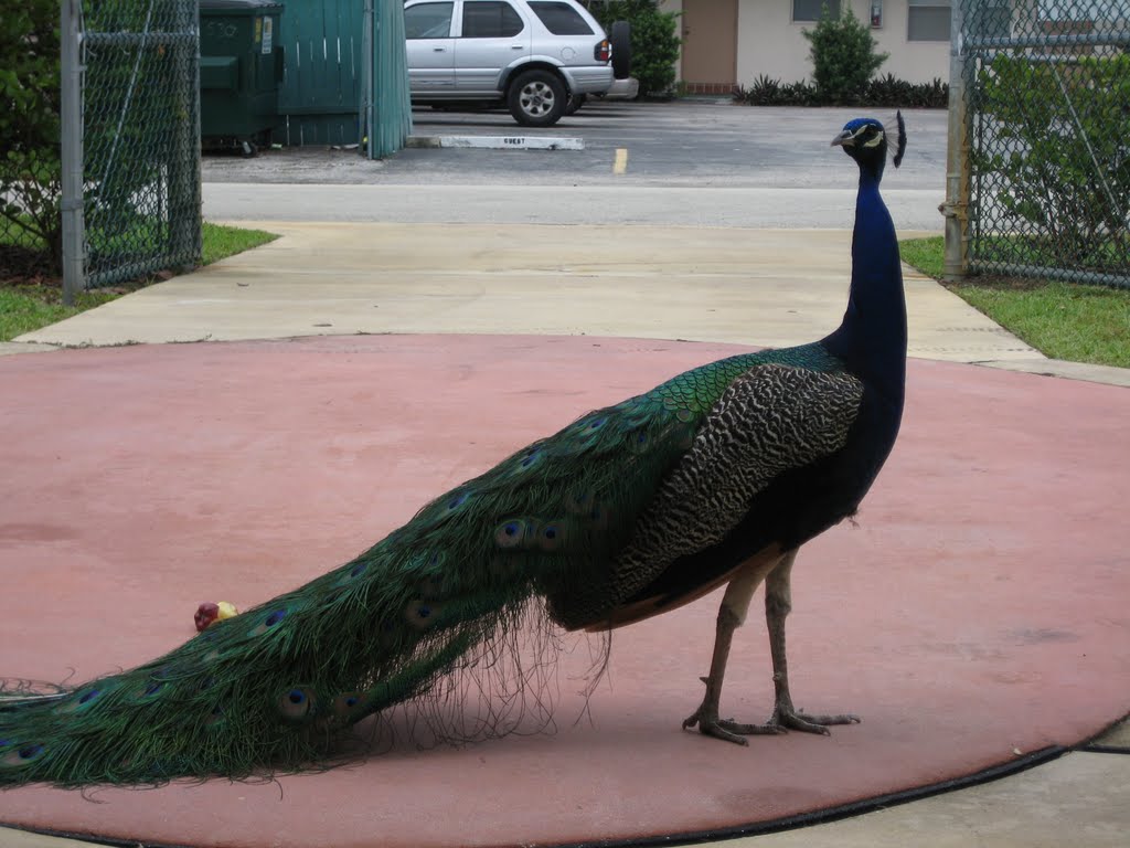 Hagen Park