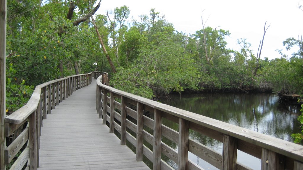 Colohatchee Park Boardwalk