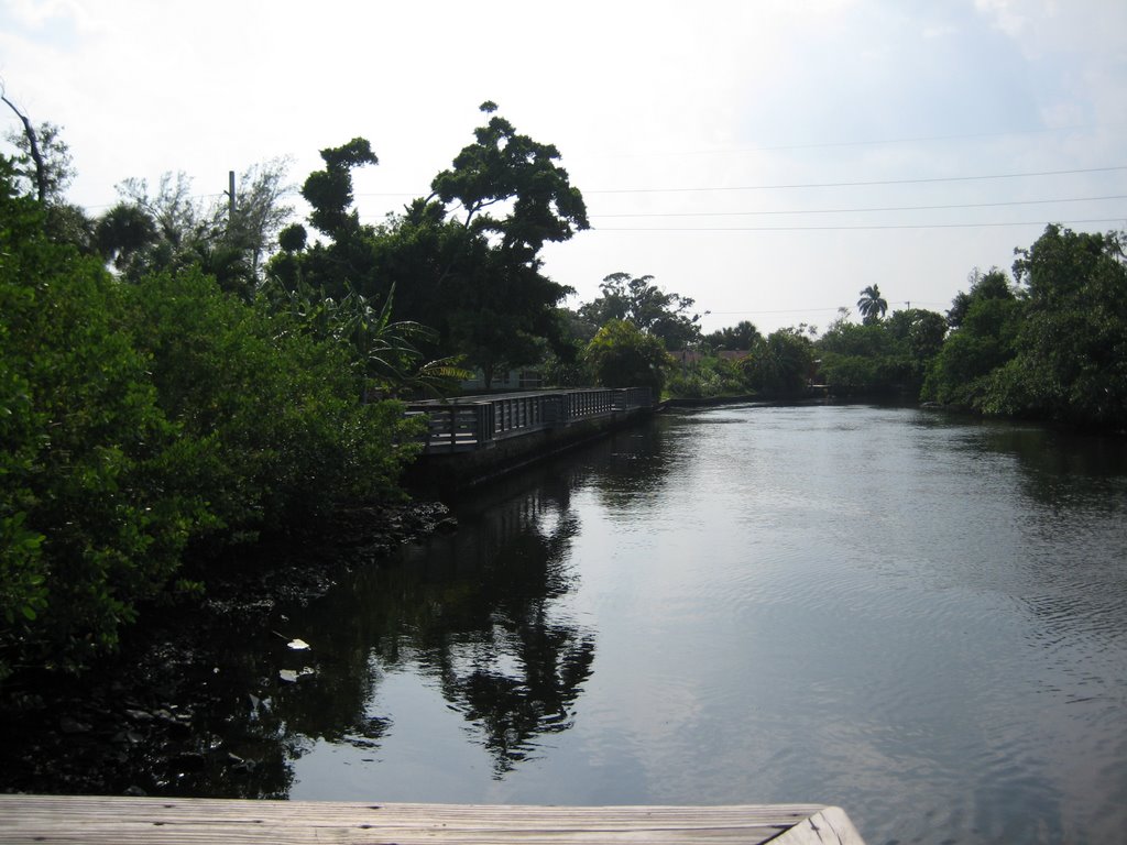 The Middle River
