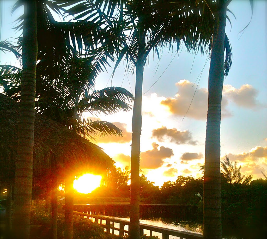 Wilton Manors, Florida Wilton Station Condo