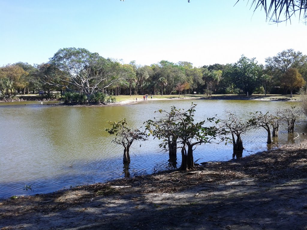 Lake at easterlin park