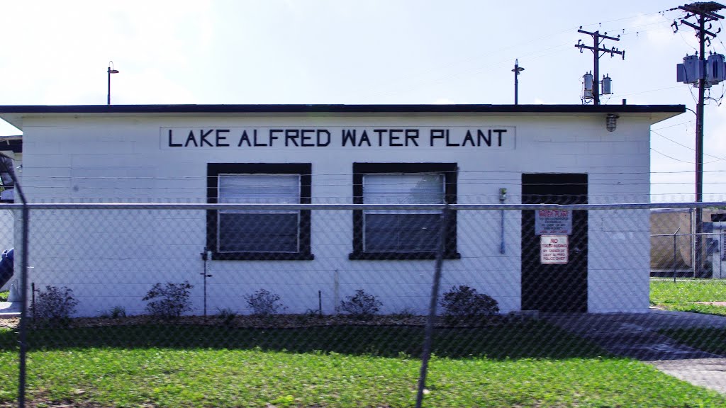 2014 04-05 Florida -  - Lake Alfred - water plant