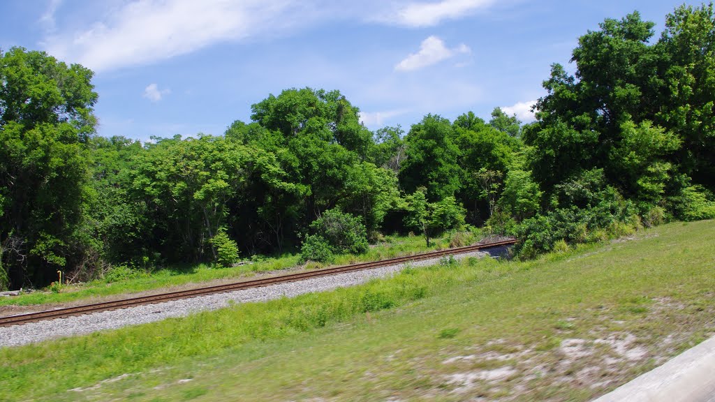 2014 04-05 Lake Alfred, Florida - Rte 92 - along rails