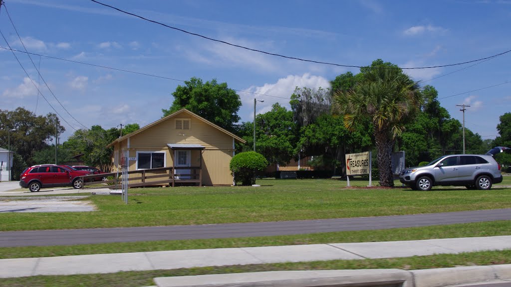 2014 04-05 Lake Alfred, Florida - Rte 92 - Treasures