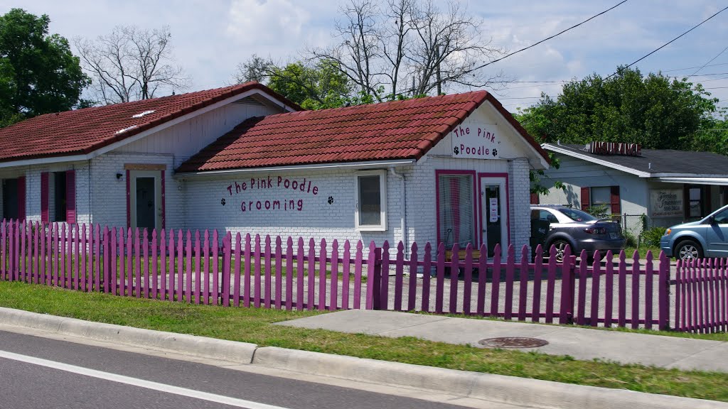 2014 04-05  Lake Alfred, Florida - The Pink Poodle