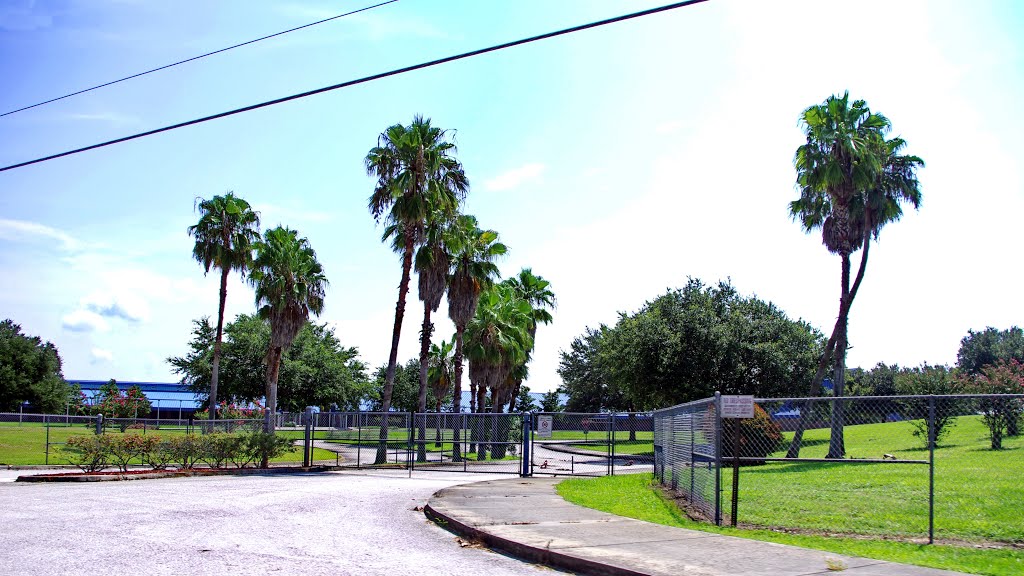2014 07-20 Lake Alfred, Fl - Academy