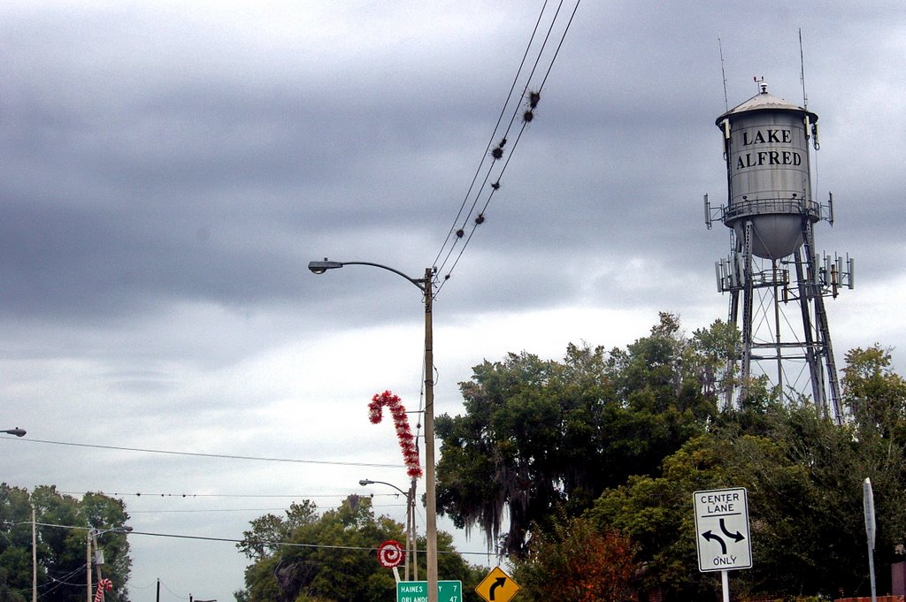 2008 Rte 17 & 92 Lake Alfred