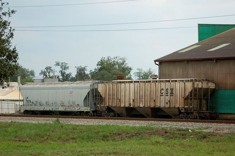 CSX Transportation Covered Hopper No. 260651 and Union Pacific Railroad Covered Hopper No. 79078 at Lake Alfred, FL
