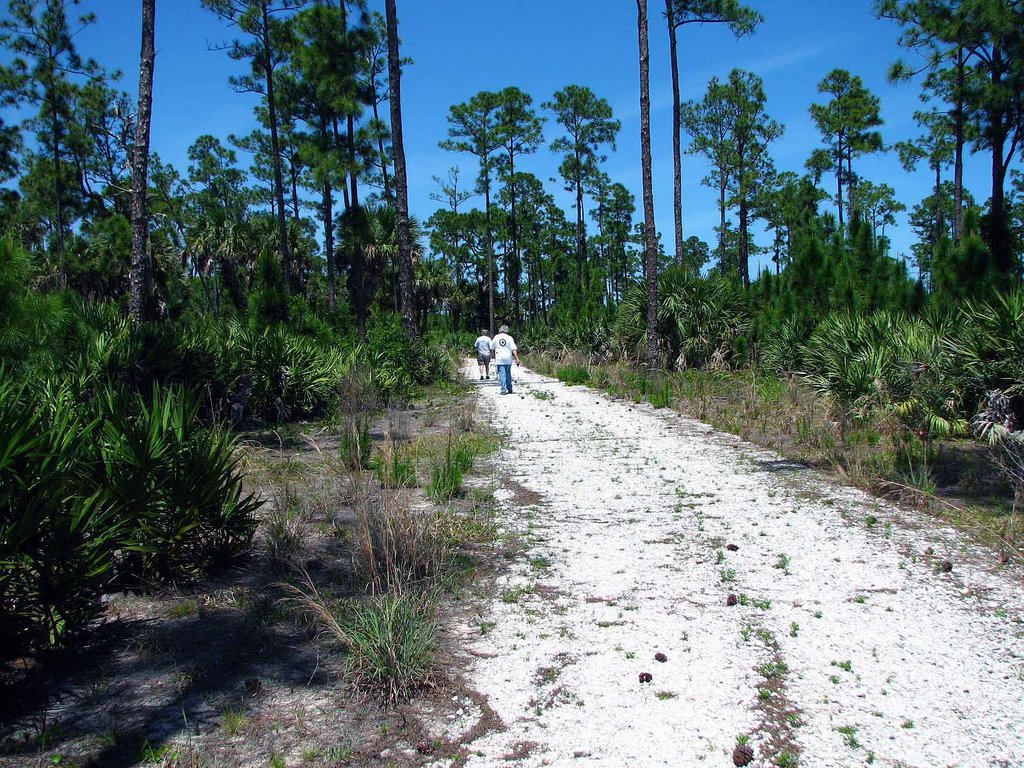 Lakewood Park Trails
