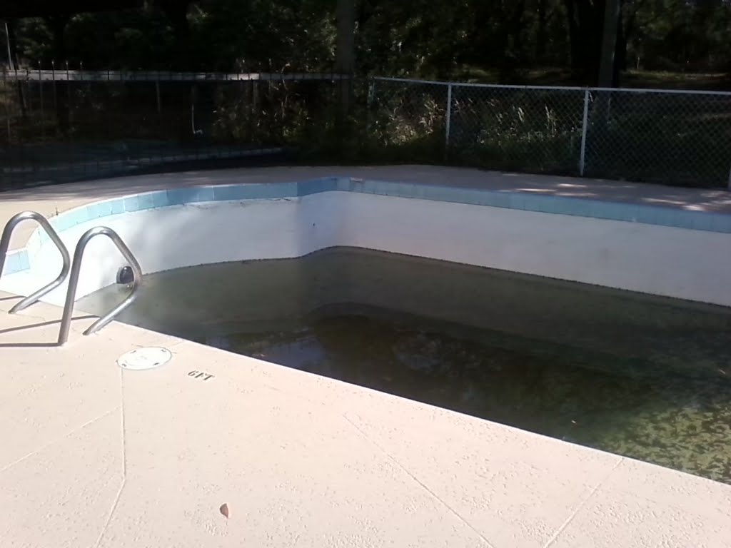 forgotten pool
