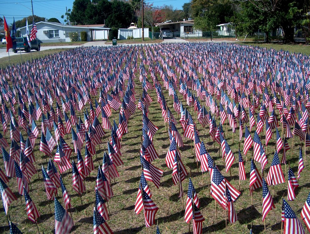 Field of Flags