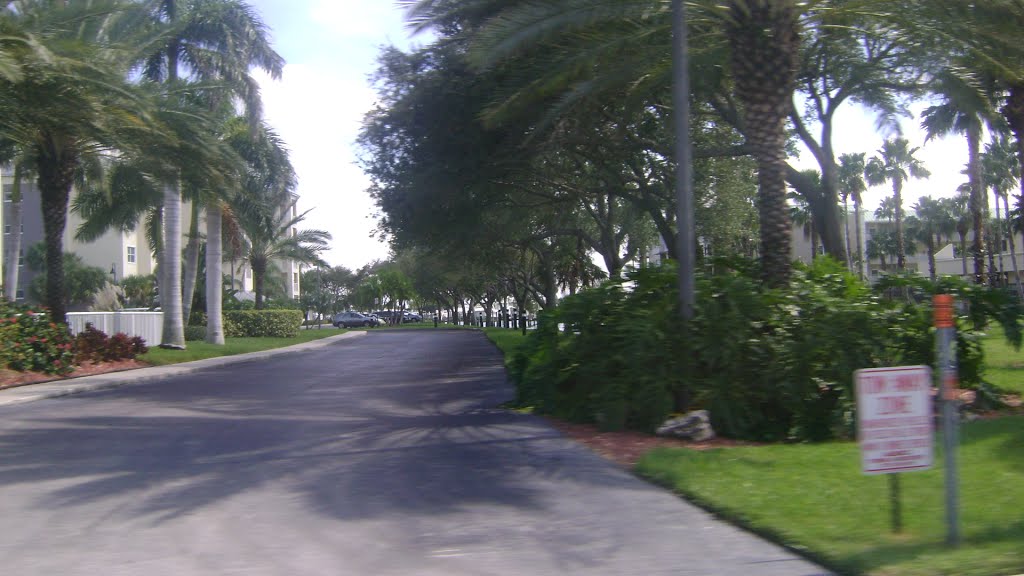 Tom Stuart Causeway