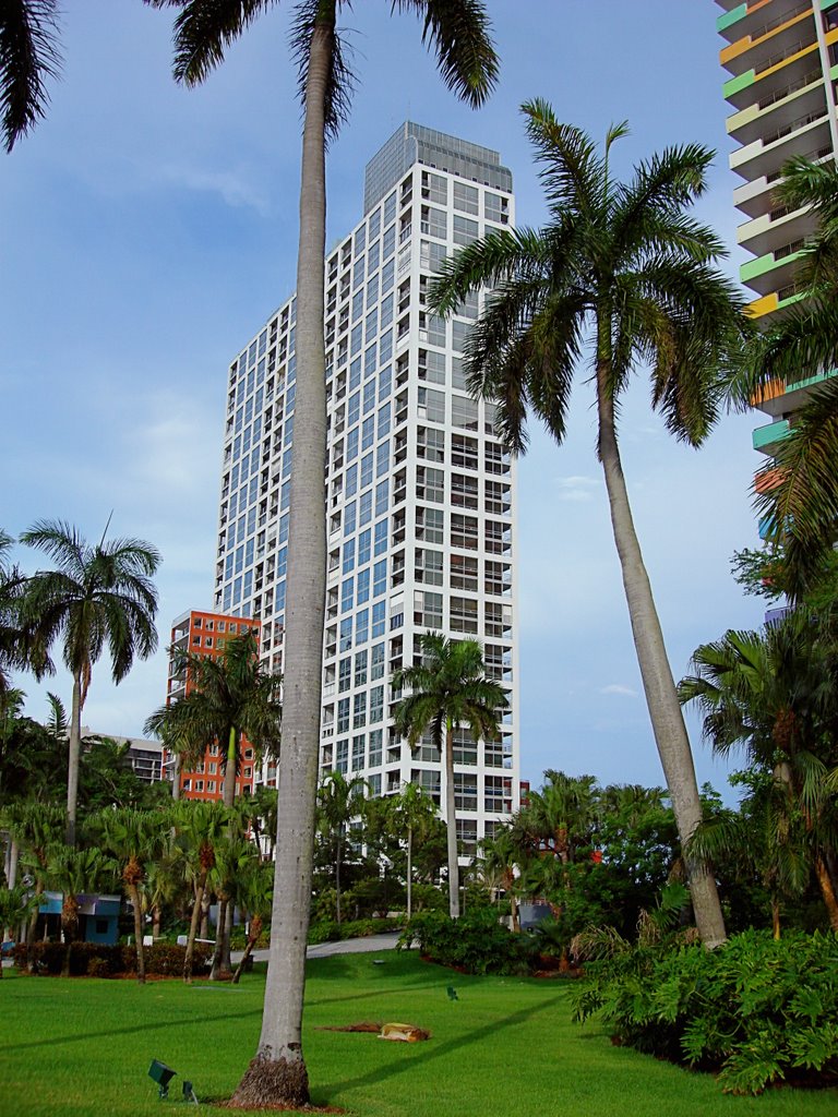 MIAMI 51