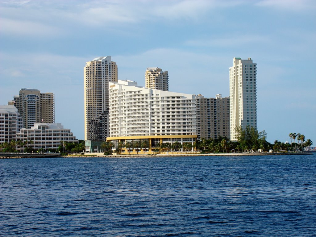 MIAMI 52