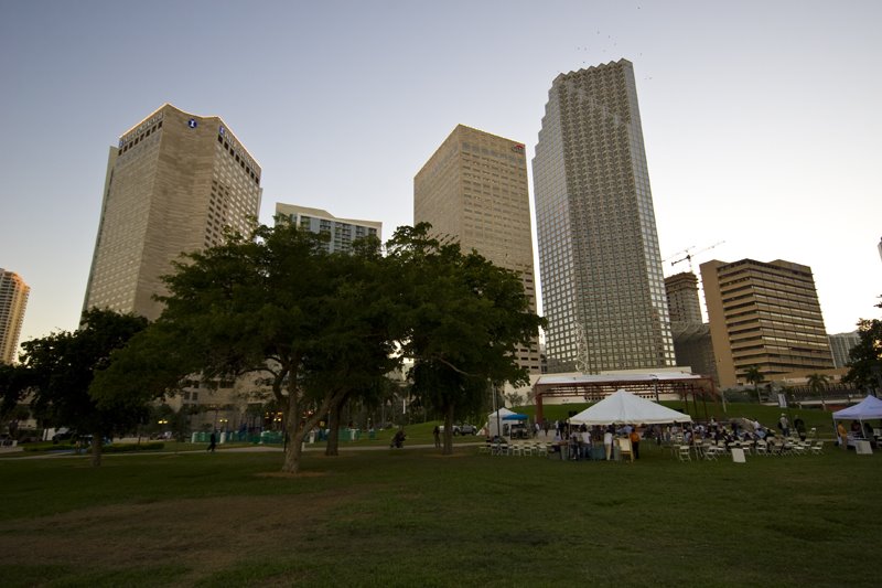 Downtown from Bayfront park