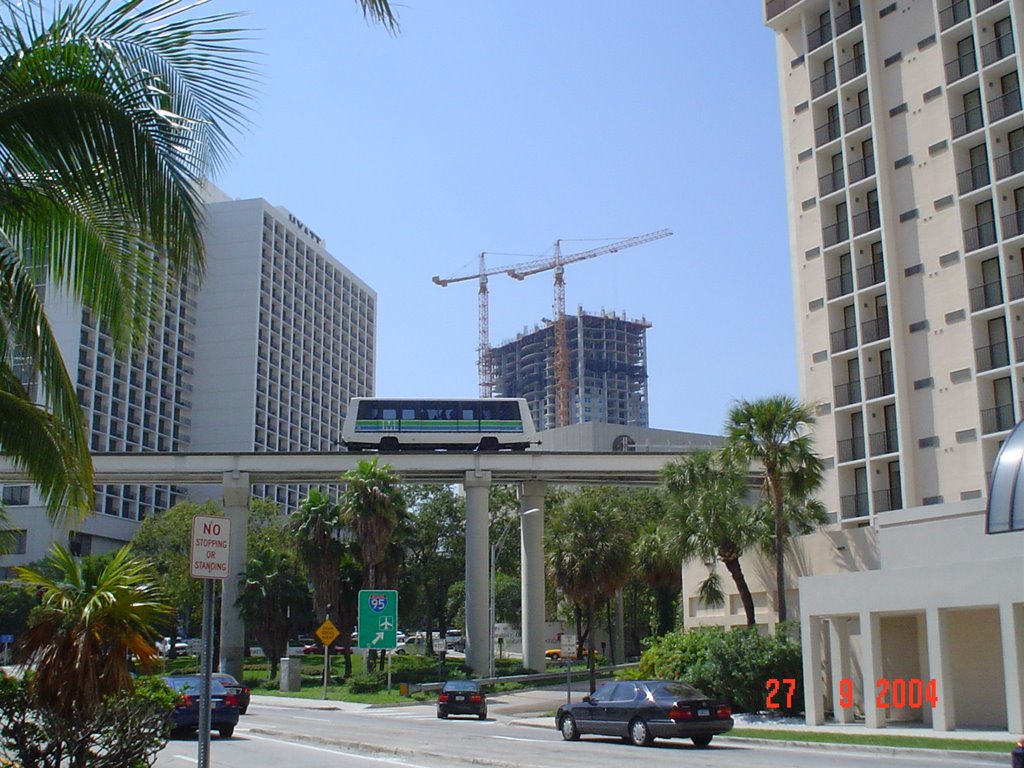 MIAMI 24
