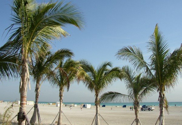 Miami Beach
