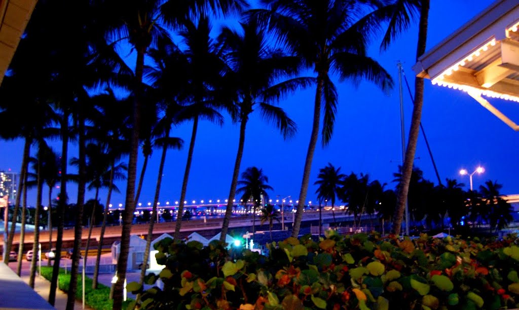 Bayside at night