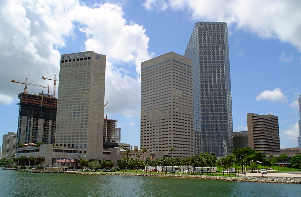 MIAMI 40
