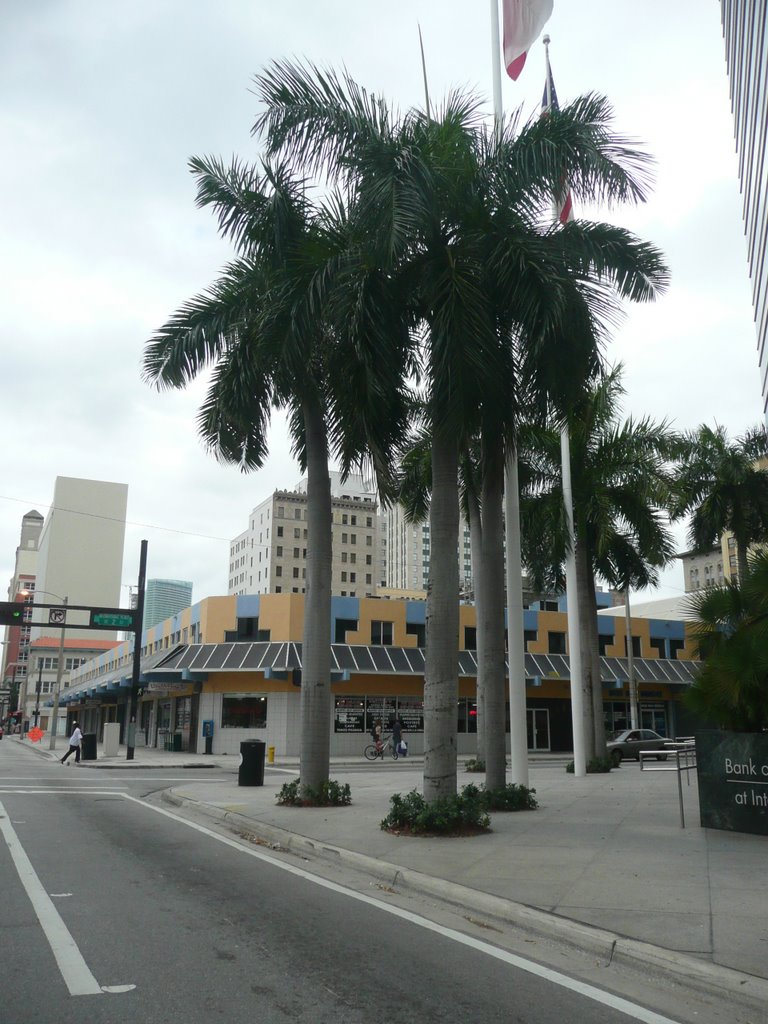 Miami - FL - USA
