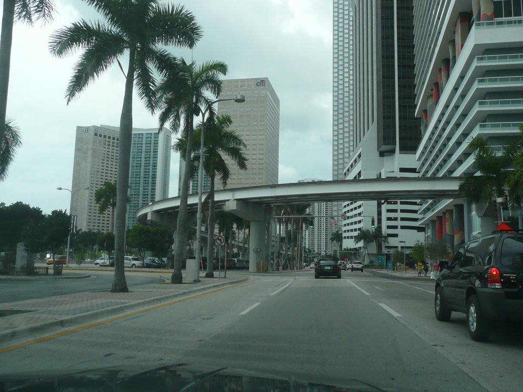Miami - FL - USA