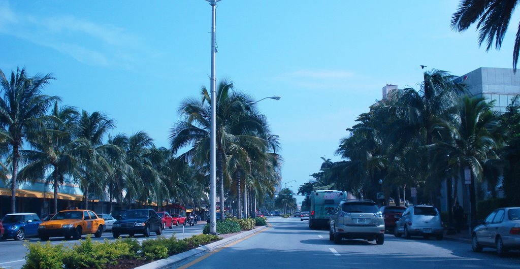 Miami Beach—Washington Avenue