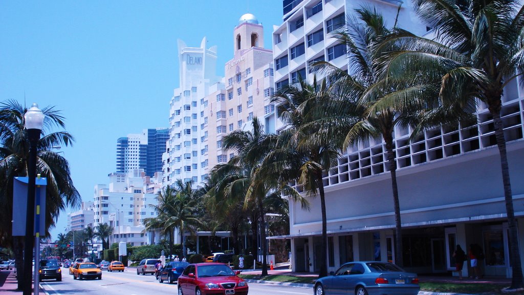 Hotels at Collins Avenue (Delano, National, Ritz Carlton)